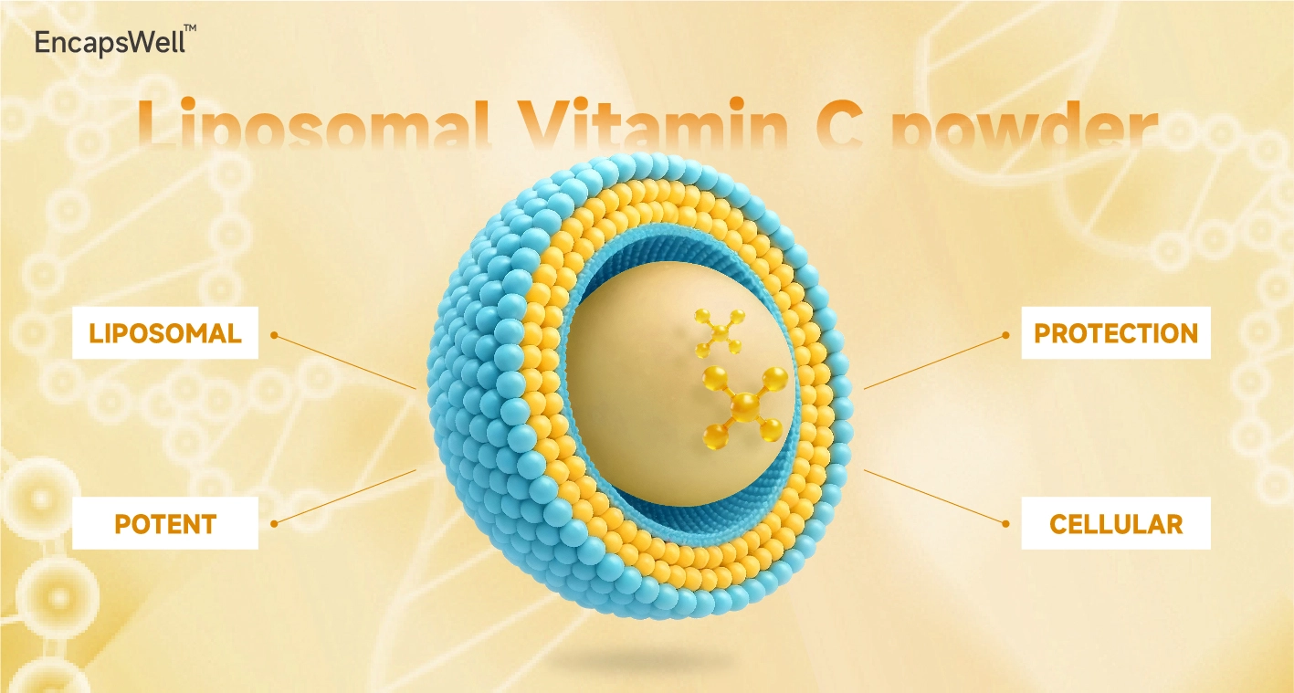 EncapsWell™ Liposomal Vitamin C Powder EncapsWell™ Liposomal Vitamin C Powder